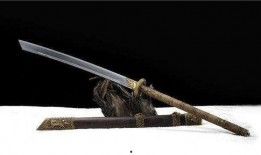 唐刀爆料视频大全最新,揭秘最新视频大全背后的精彩瞬间